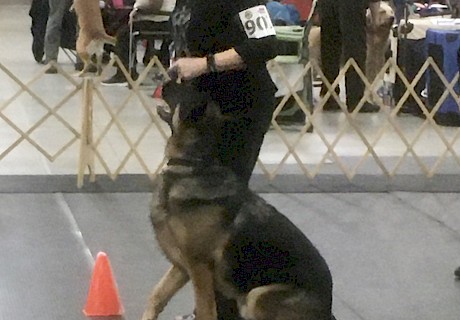 Ranger